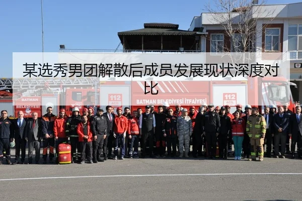 某选秀男团解散后成员发展现状深度对比
